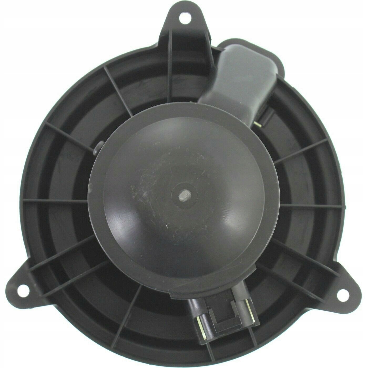 11513000585_3.jpg 11513000585