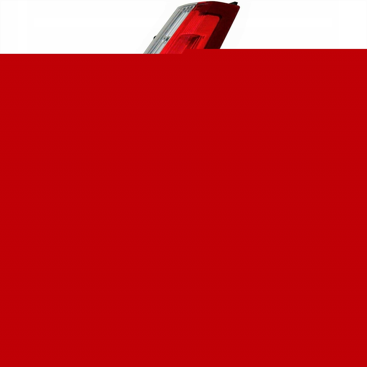 10018119623