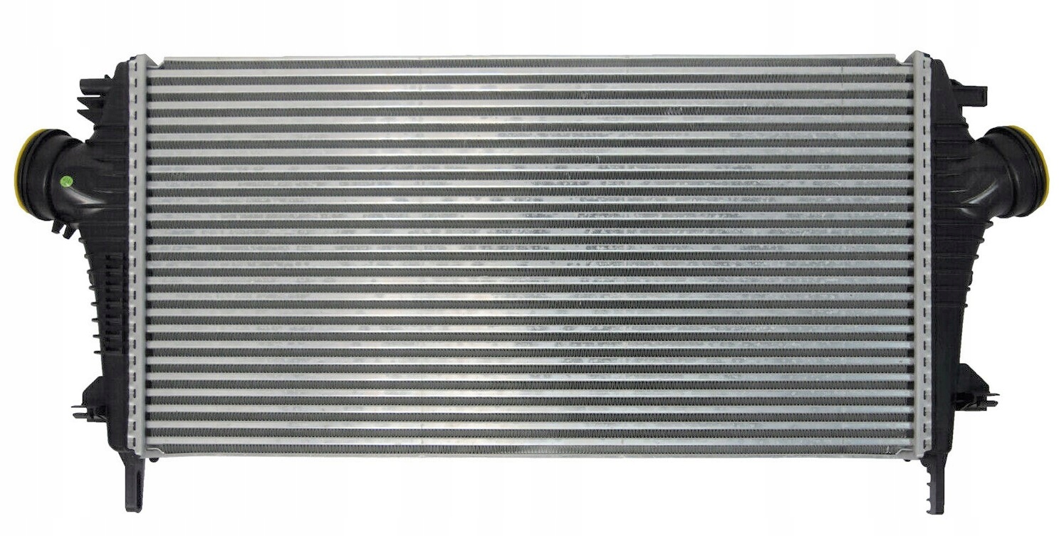 10020508913
