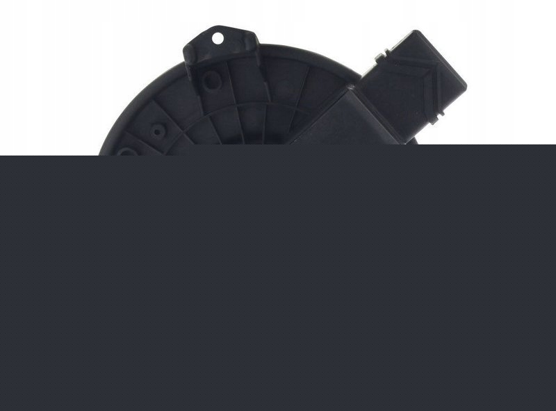 9811752523